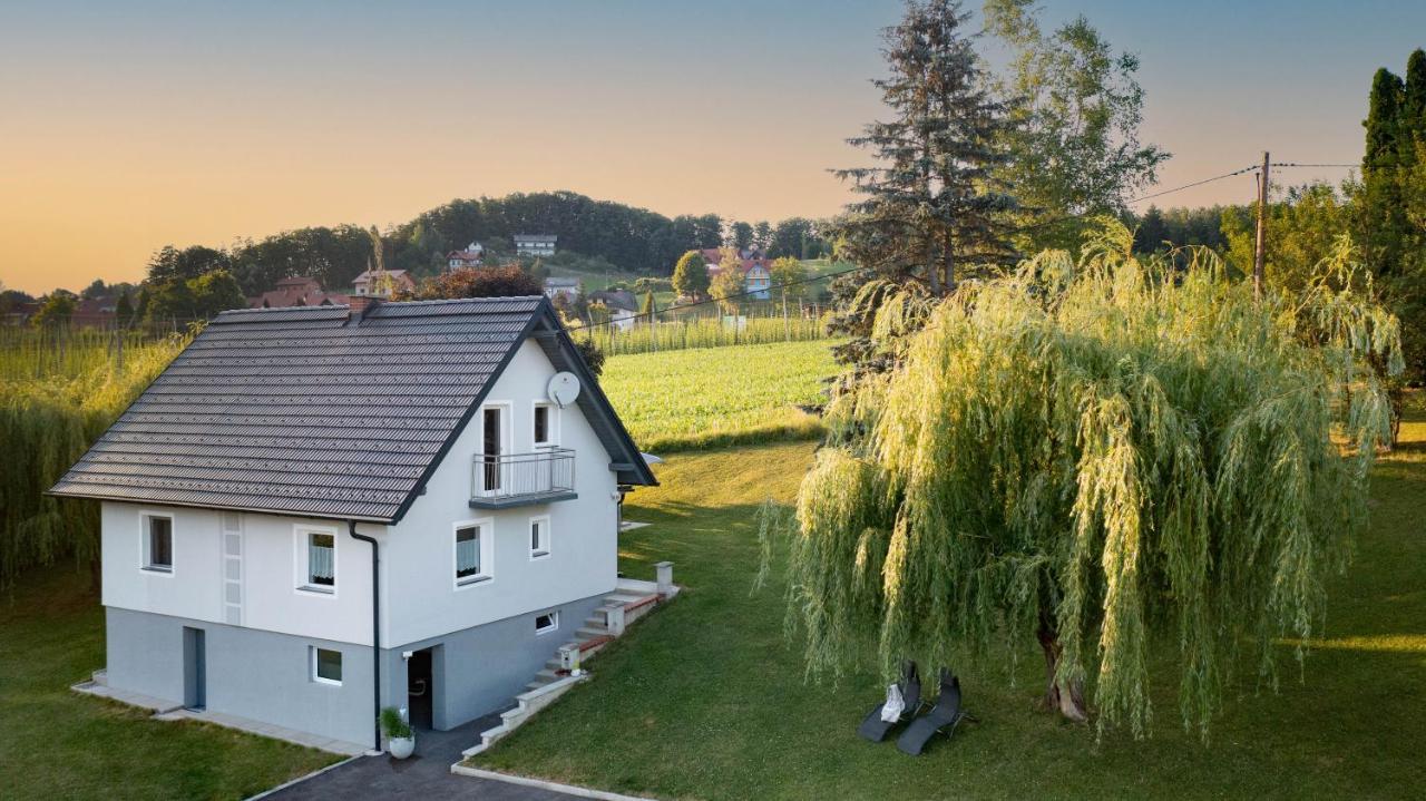 ליוצכאך Ferienhaus Treissmann An Der Weinstrasse מראה חיצוני תמונה